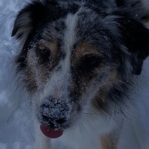 Meet your Posher, Katherine